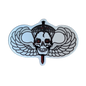 Phantom Airborne Wings Sticker